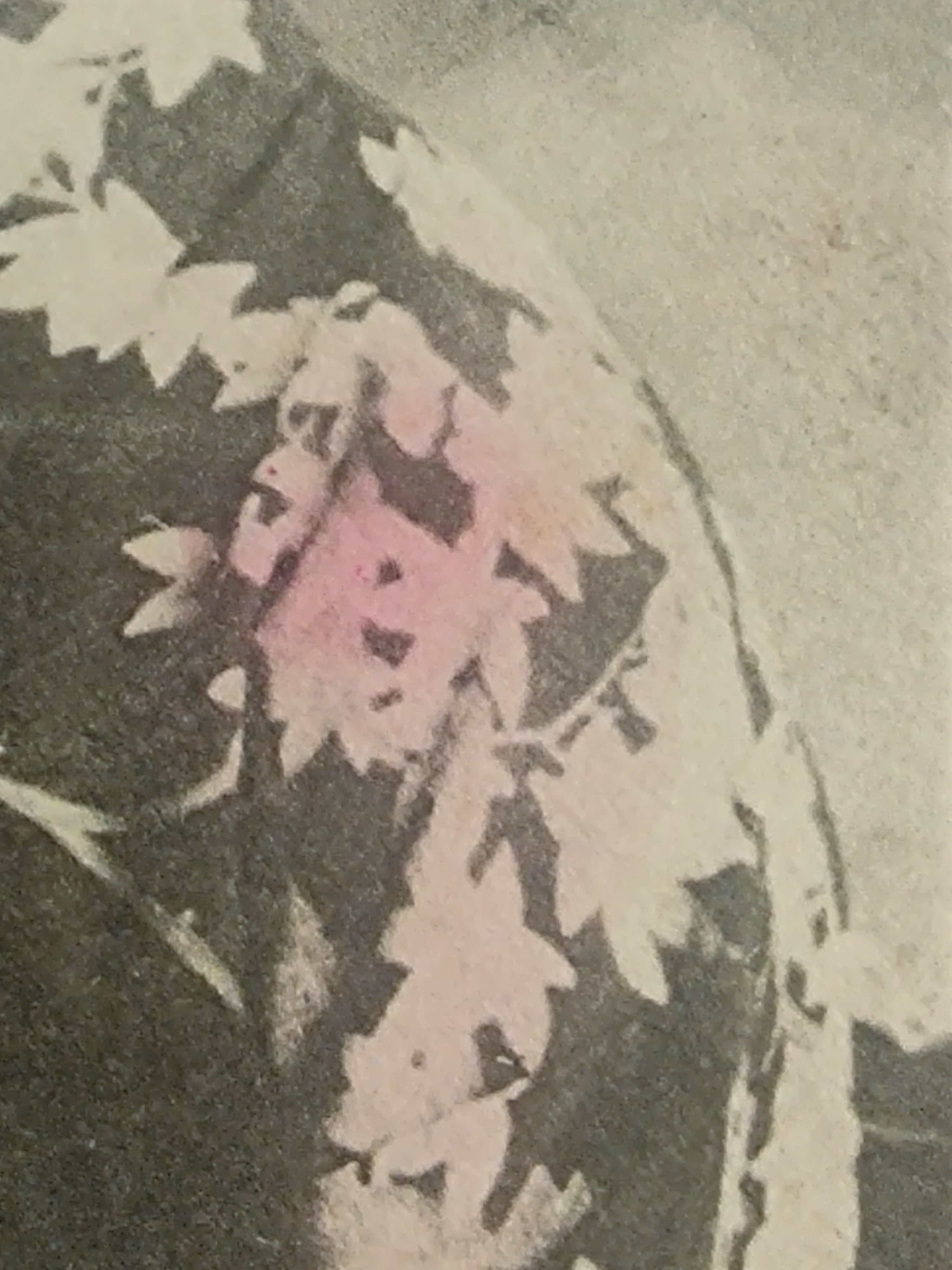 Close-up of flower colouring on the postcard: no halftone dots visible